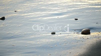 Stone at shore beach, sunset