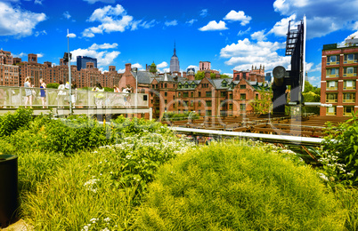 Stunning summer view of Manhattan Buildings from High Line Park.