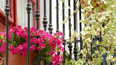 Typical Andalusian balcony, close up