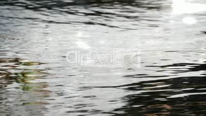 Water pure mountain running, close up