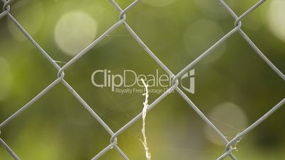 Wire fence, close up