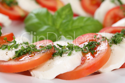 Caprese Salat mit Tomaten und Mozzarella Käse