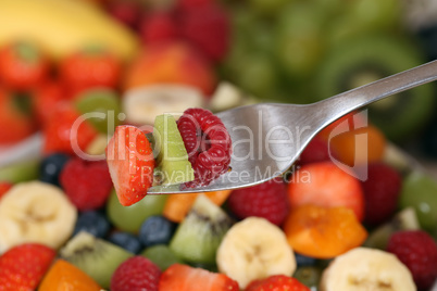 Obstsalat essen mit Früchte auf Gabel mit Erdbeere, Kiwi und Hi