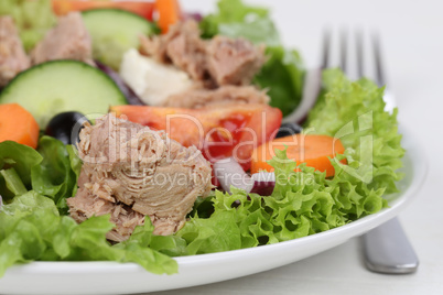 Salat mit Thunfisch, Tomaten und Oliven auf Teller
