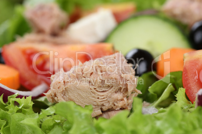 Nahaufnahme Salat mit Thunfisch, Tomaten und Oliven