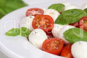 Caprese Salat mit Tomaten, Basilikum und Mozzarella auf Teller