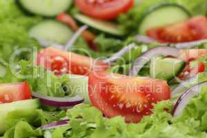 Nahaufnahme grüner Salat mit Tomaten, Zwiebeln und Gurken