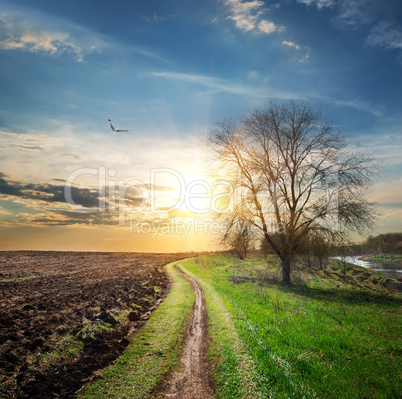 Plowed field and road