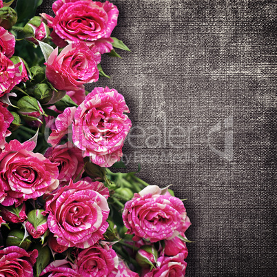 bouquet of pink roses on a dark fabric background