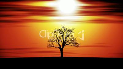 Silhouette of tree at sunset, animation