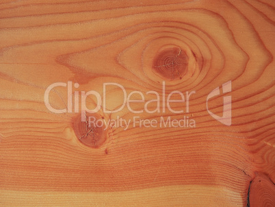 Larch wood background