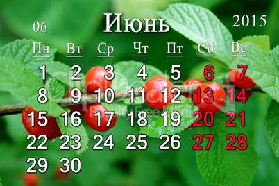 calendar for June of 2015 year with Prunus tomentosa