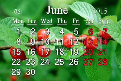 calendar for June of 2015 year with red berries of tomentosa