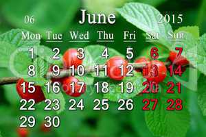 calendar for June of 2015 year with red berries of tomentosa