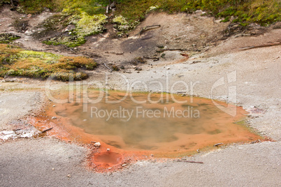 Yellowstone Nationalpark, Utah, USA