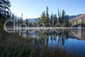 Yellowstone Nationalpark, Utah, USA