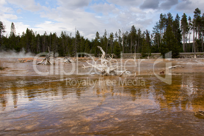 Yellowstone Nationalpark, Utah, USA