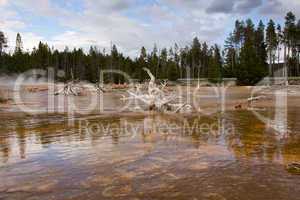 Yellowstone Nationalpark, Utah, USA