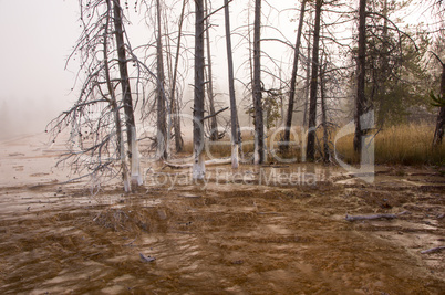 Yellowstone Park, USA