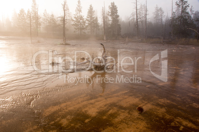 Yellowstone Park, USA