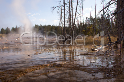 Yellowstone Park, USA Yellowstone Park, USA