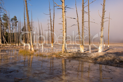 Yellowstone Park, USA