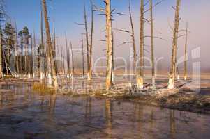 Yellowstone Park, USA