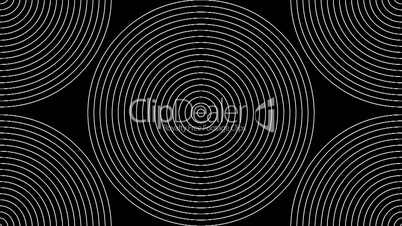 Concentric-24n