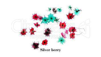 Silver berry micrograph