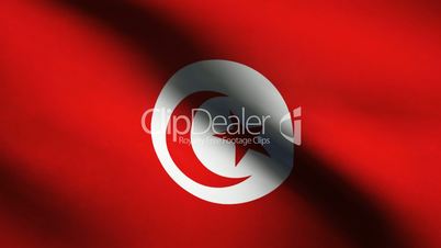 Tunisia country flag