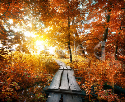 Autumn and bridge