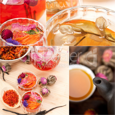 collection of different herbal tea infusion collage