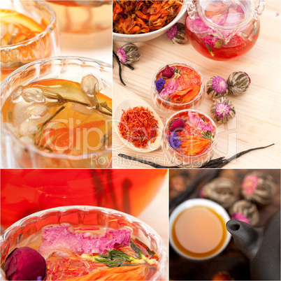 collection of different herbal tea infusion collage