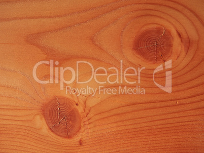 Larch wood background