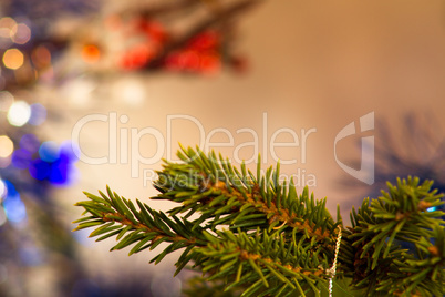 The branch Christmas trees abstract background