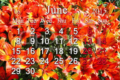 calendar for July of 2015 on the background of red lilies