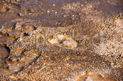 Yellowstone Nationalpark, Utah, USA