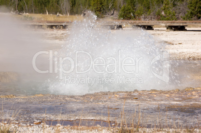 Yellowstone Nationalpark, Utah, USA