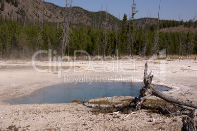 Yellowstone Nationalpark, Utah, USA