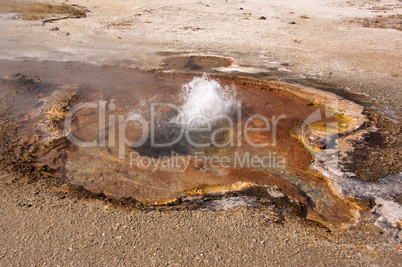 Yellowstone Nationalpark, Utah, USA