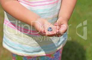 Little girl's hands holding one piece of fresh blueberries