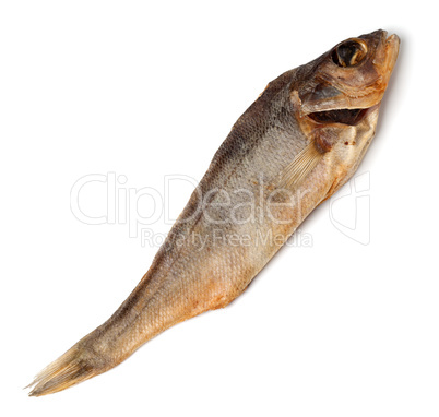 Dry stockfish isolated on white background