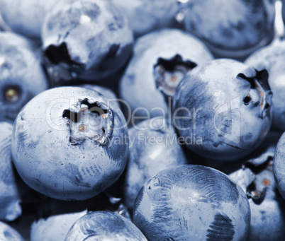 Fresh group of blueberries
