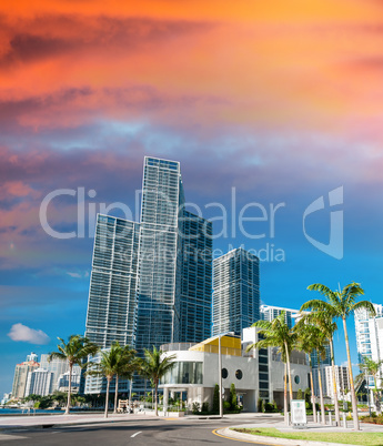 Sunset over Miami. City skyscrapers on a sunny day
