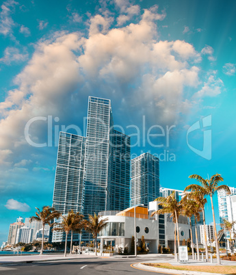 Sunny roads of Miami, Florida, USA