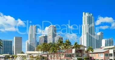 Sunny sky of Miami. City buildings and skyline