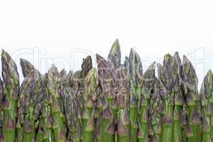 Green raw asparagus isolated on white