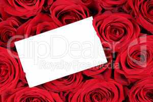Rote Rosen zum Valentinstag oder Muttertag mit leerem Zettel mit