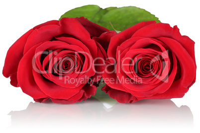 Rote Rosen zum Valentinstag, Muttertag oder Geburtstag