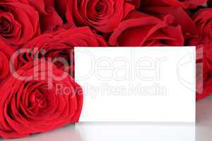 Rote Rosen zum Valentinstag oder Muttertag mit Textfreiraum